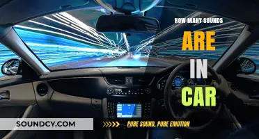 Exploring the Surprising Variety of Sounds Inside Your Car