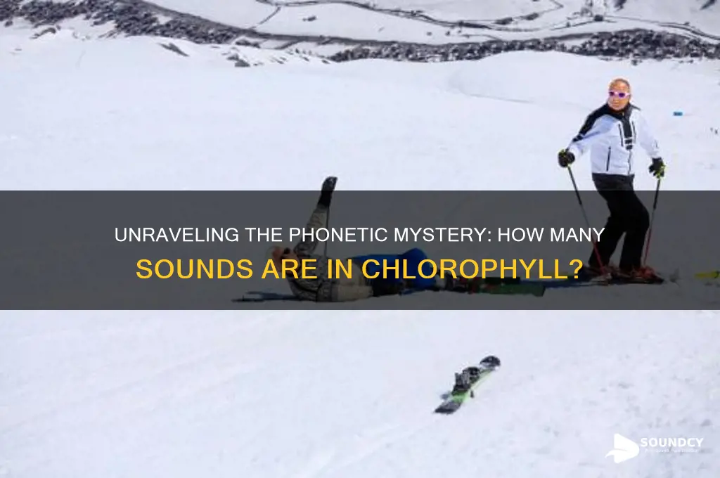 how many sounds are in chlorophyll