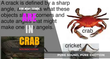 Unraveling the Surprising Number of Sounds in the Word 'Crab