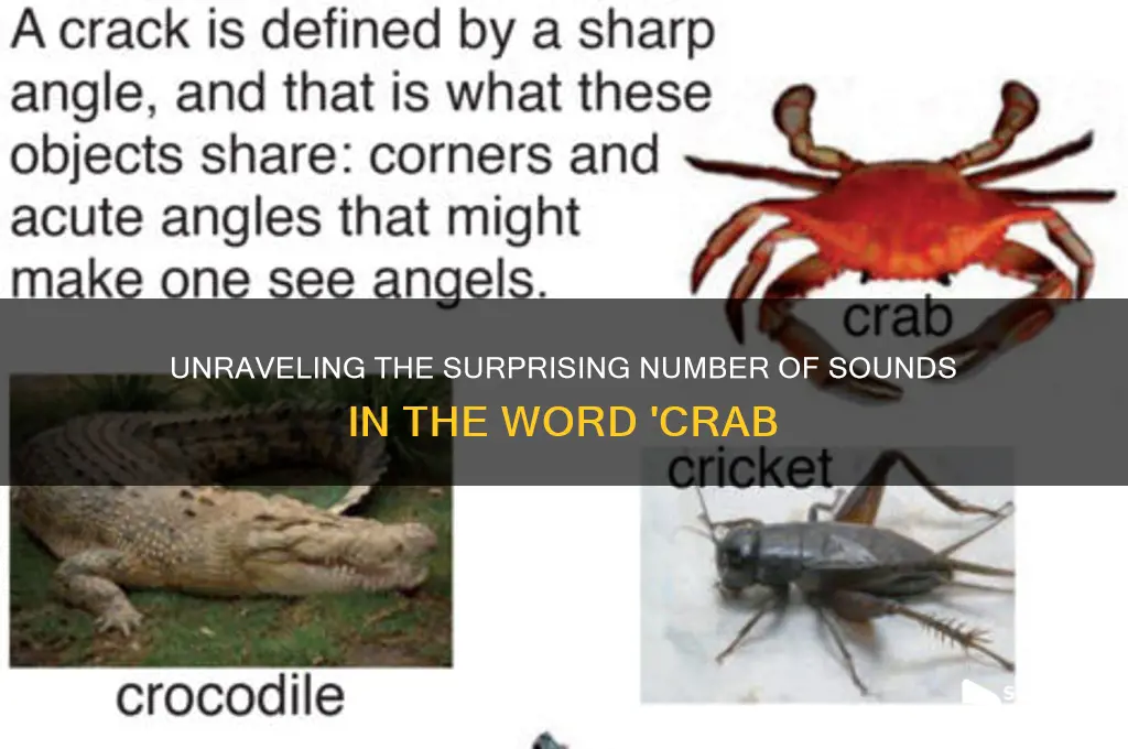 how many sounds are in crab