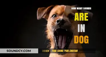 Unraveling the Canine Vocal Repertoire: How Many Sounds Does a Dog Make?