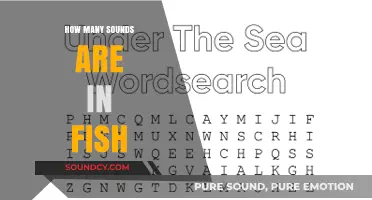 Exploring the Surprising Number of Sounds in the Word 'Fish