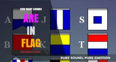 Unraveling the Phonetic Mystery: How Many Sounds Are in 'Flag'?