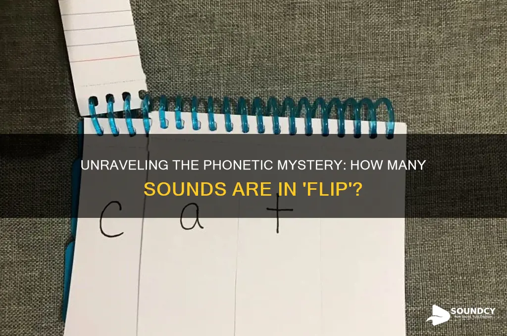 how many sounds are in flip