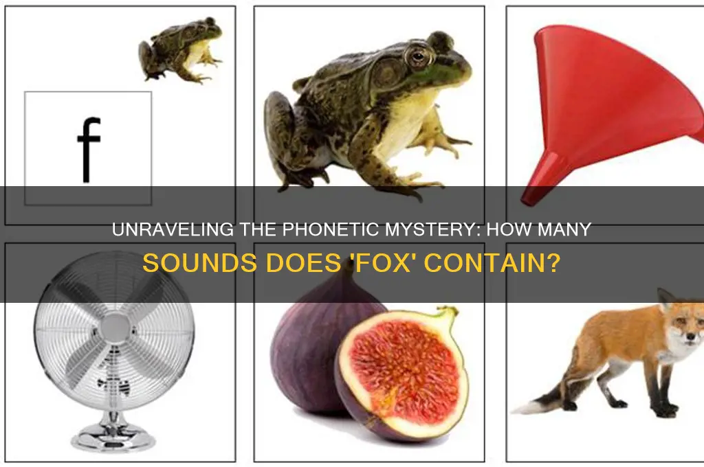 how many sounds are in fox