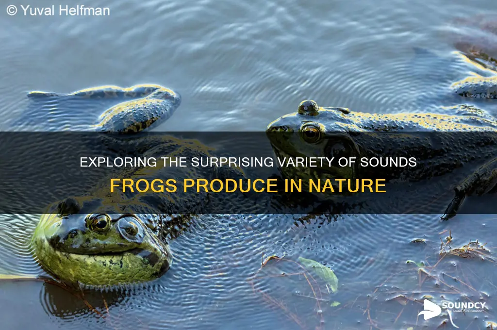how many sounds are in frog
