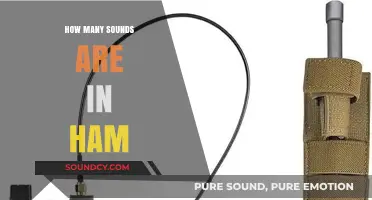 Unraveling the Phonetic Mystery: How Many Sounds Are in 'Ham'?