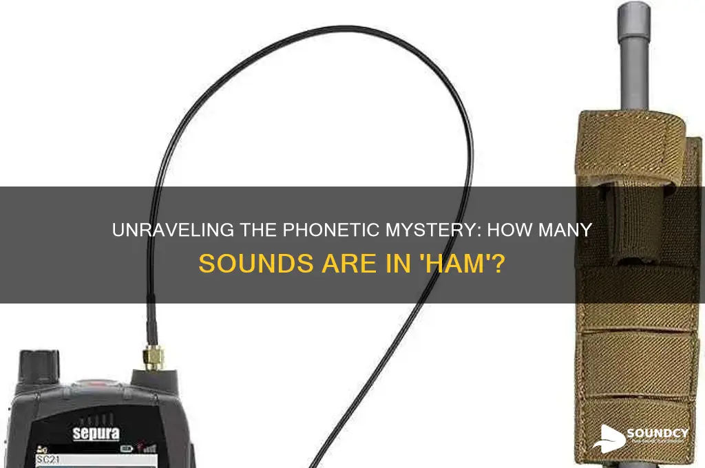 how many sounds are in ham