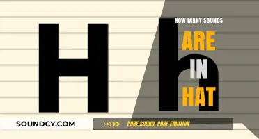 Unraveling the Phonetic Mystery: How Many Sounds Are in 'Hat'?