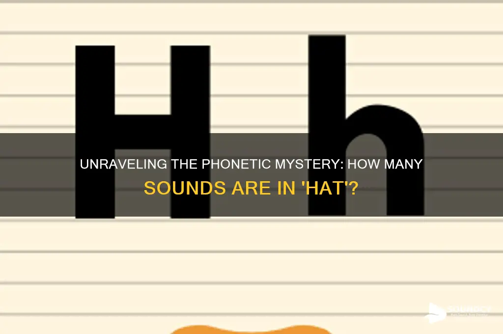 how many sounds are in hat
