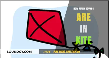 Exploring the Phonetic Breakdown: How Many Sounds Are in 'Kite'?