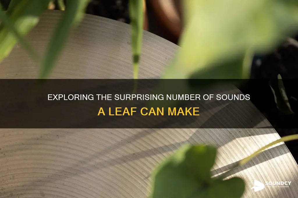 how many sounds are in leaf