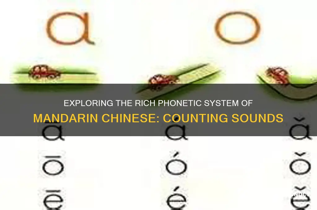 how many sounds are in mandarin