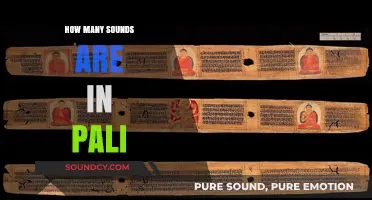 Exploring the Rich Phonetic System of Pali: Counting Its Sounds