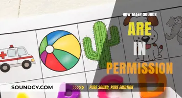 Unraveling the Phonetic Puzzle: How Many Sounds Are in Permission?