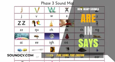 Unraveling the Phonetic Mystery: How Many Sounds Are in 'Says'?