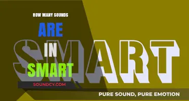 Unraveling the Phonetic Mystery: How Many Sounds Are in 'Smart'?