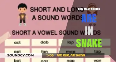 Unraveling the Surprising Number of Sounds in the Word 'Snake