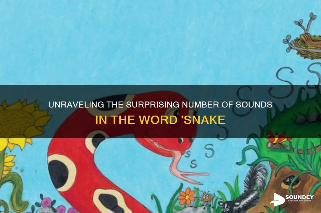 how many sounds are in snake