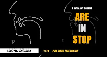 Unraveling the Phonetic Mystery: How Many Sounds Are in 'Stop'?