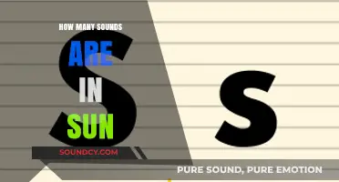 Unraveling the Phonetic Mystery: How Many Sounds Are in 'Sun'?