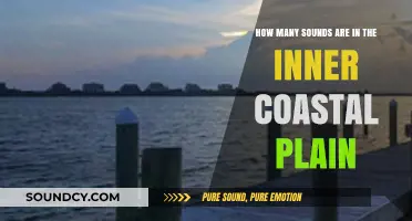 Exploring the Inner Coastal Plain's Unique Soundscape: A Comprehensive Guide