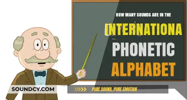Exploring the International Phonetic Alphabet's Comprehensive Sound Inventory