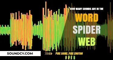 Unraveling the Phonetic Mystery: How Many Sounds Are in 'Spider Web'?