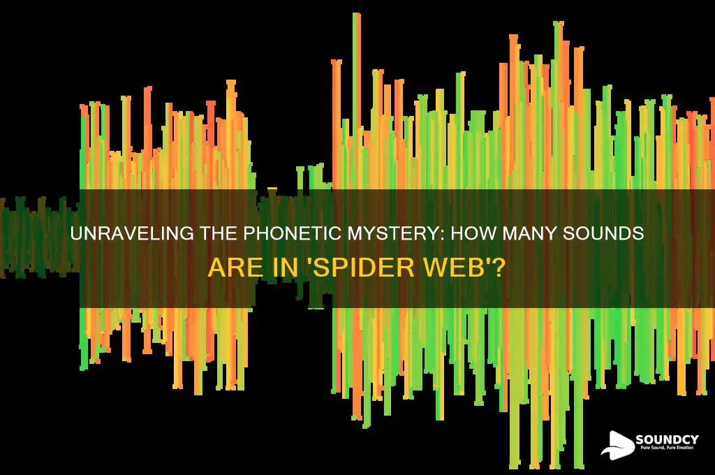 how many sounds are in the word spider web