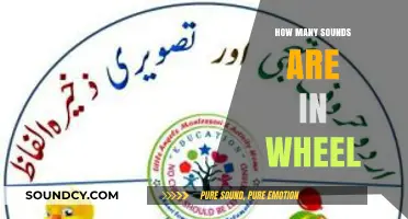 Unraveling the Phonetic Mystery: How Many Sounds Are in 'Wheel'?