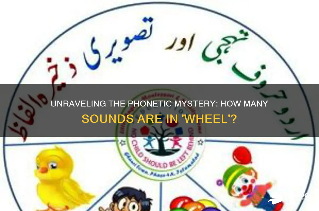 how many sounds are in wheel