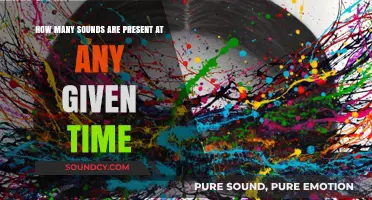 The Symphony of Silence: Unveiling the Countless Sounds Surrounding Us