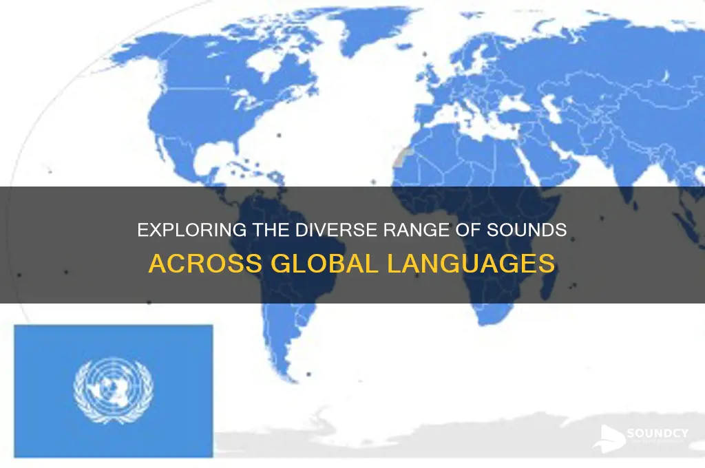 how many sounds are present in the worlds laguages