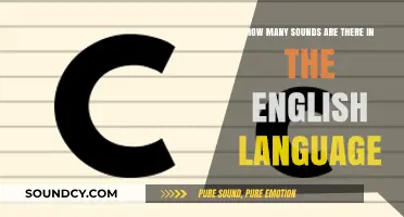 Exploring the Vast Phonetic Landscape of English Language Sounds