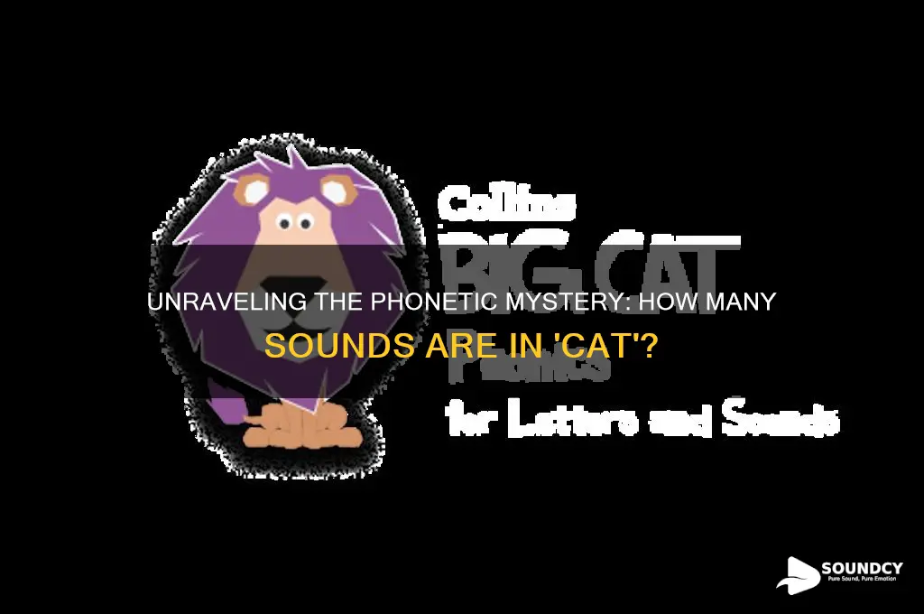 how many sounds are there in the word cat