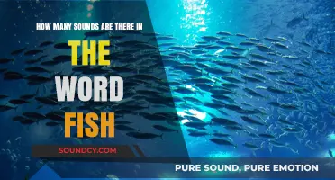 Unraveling the Phonetic Mystery: How Many Sounds Are in 'Fish'?