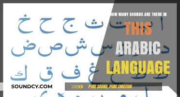 Exploring the Rich Phonetic Diversity of the Arabic Language's Sounds