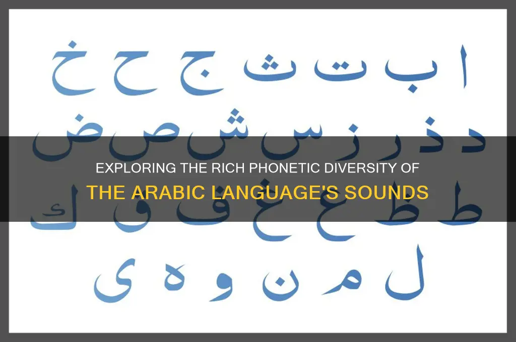 how many sounds are there in this arabic language