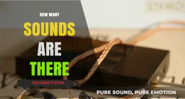 Exploring the Vast World of Sounds: How Many Exist?