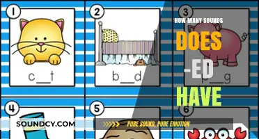 Unraveling the Mystery: How Many Sounds Does the -ed Ending Make?