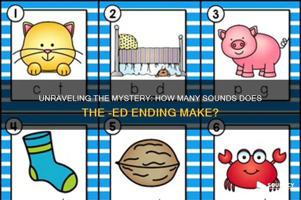 how many sounds does -ed have