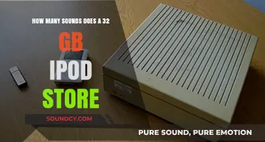 How Many Songs Can a 32GB iPod Store?