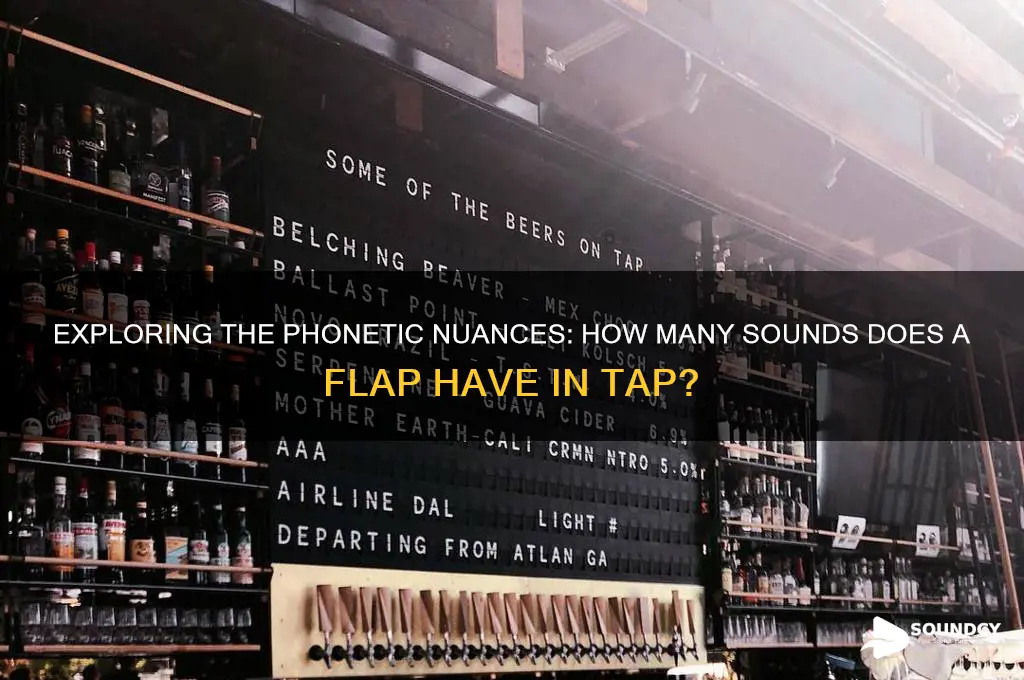 how many sounds does a flap have in tap