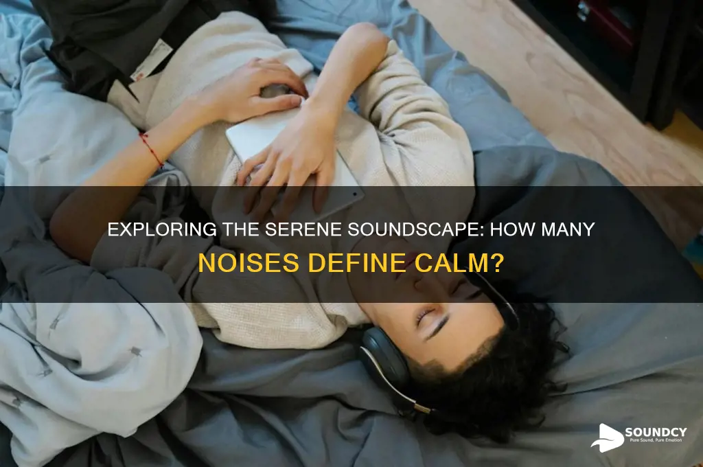how many sounds does calm have