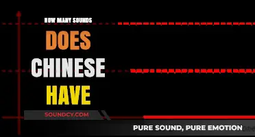 Exploring the Rich Phonetic Diversity of Chinese Language Sounds