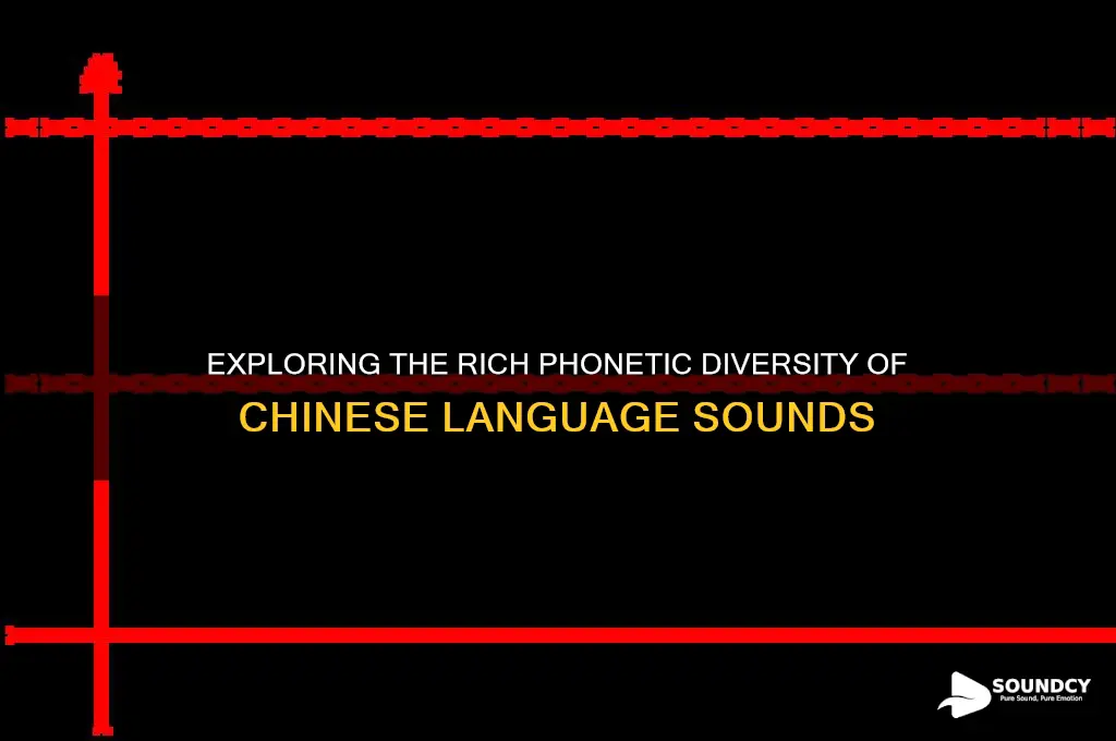 how many sounds does chinese have