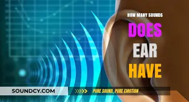 Exploring the Ear's Auditory Range: How Many Sounds Can It Detect?