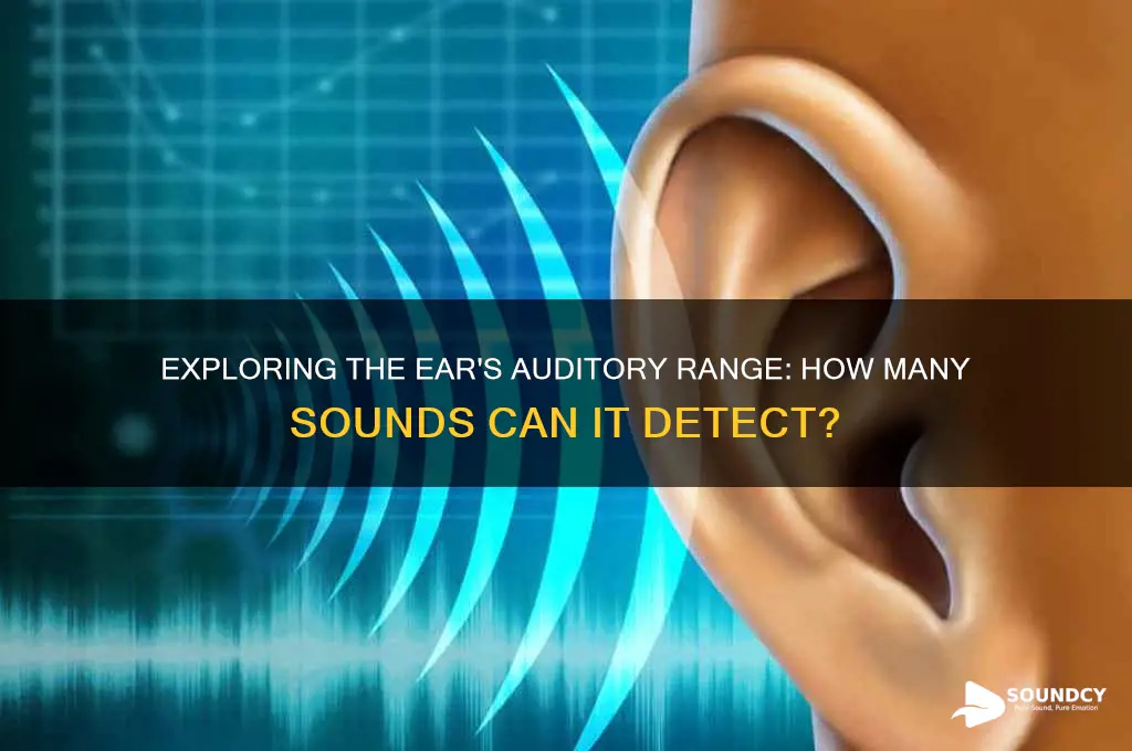 how many sounds does ear have