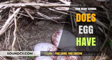 Unraveling the Surprising Variety of Sounds an Egg Can Make