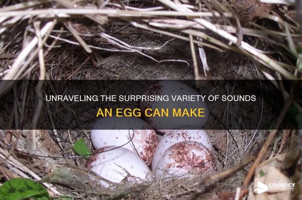 how many sounds does egg have